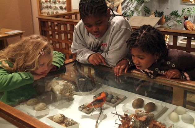 Staten Island Museum at Snug Harbor: Family Outing